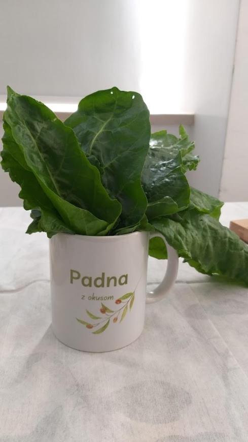 Apartments Padna Goja 外观 照片